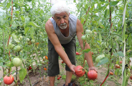 Kimsenin kullanmadığı tohumları kullandı, aldığı sonuç hayrete düşürdü