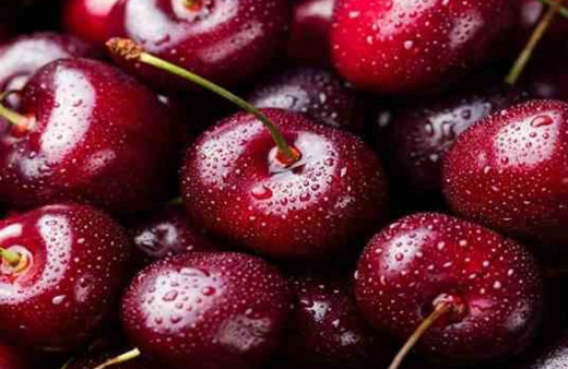 Bursa'nın Keles kirazı da artık tescilli!