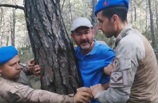 Şafak baskını ile başlamıştı... Muğla'da ağaç katliamı devam ediyor! Direnişin 3.gününde sert müdahale: Kestirmemek için ağaçlara sarıldılar!