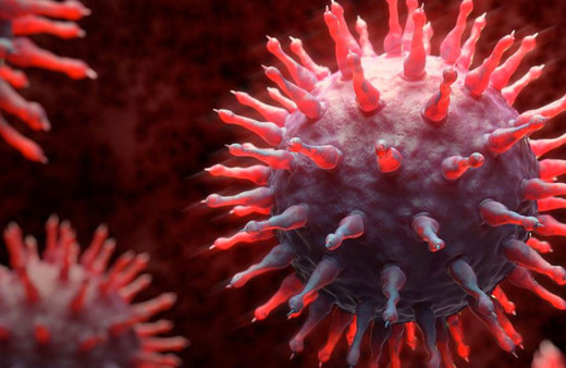 ABD'de dev virüsler bulundu! Sıradışı özelliklere sahipler