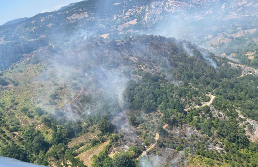 Balıkesir’de orman yangını! 6 helikopter ve 4 uçak ile müdahale ediliyor