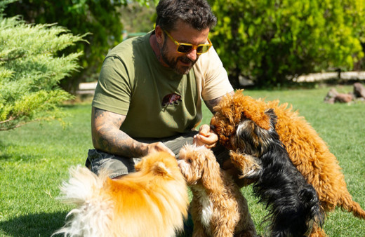 Evcil hayvan otellerindeki doluluk yüzde 100'e ulaştı!