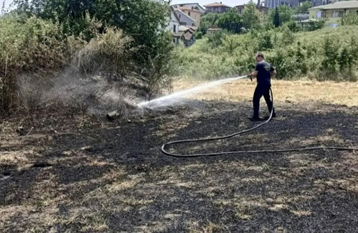Yalova'da elektrik tellerine çarpan kuş yangın çıkardı!