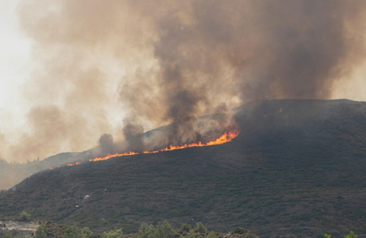 Yunanistan’daki orman yangınları rekor seviyede karbon emisyonuna yol açtı!