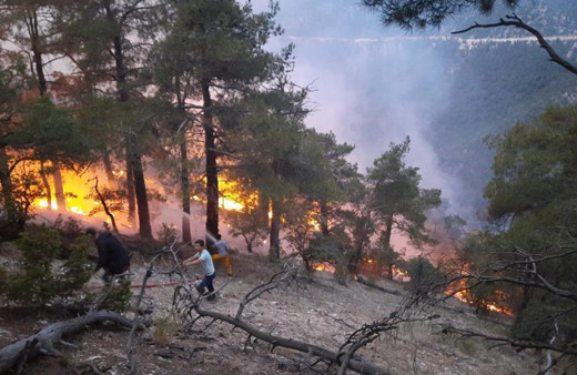 Bolu'da korkutan orman yangını! Yıldırım düşmüştü, saatlerdir alev alev yanıyor! 15 hektarlık alan küle döndü...