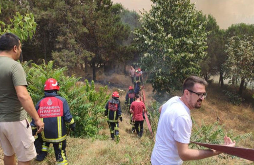İstanbul'da orman yangını çıktı! Çok sayıda ekip bölgeye gönderildi