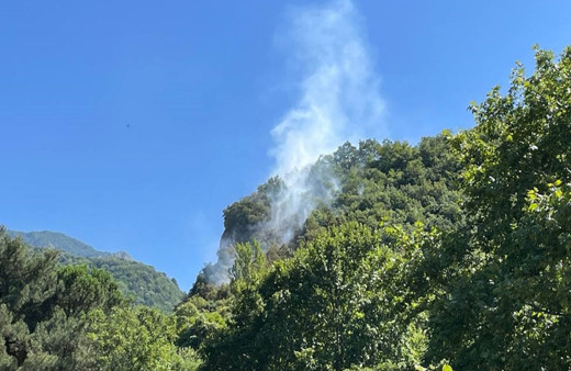 Uludağ eteklerinde orman yangını çıktı