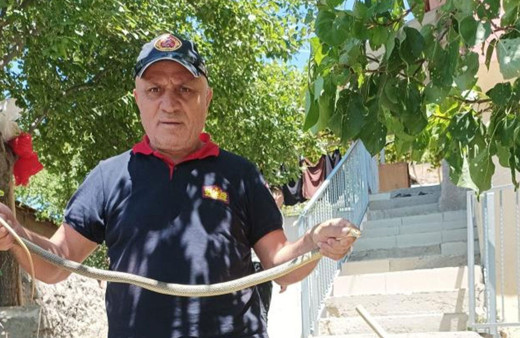 Çorum'da eve giren yılan paniğe neden oldu!