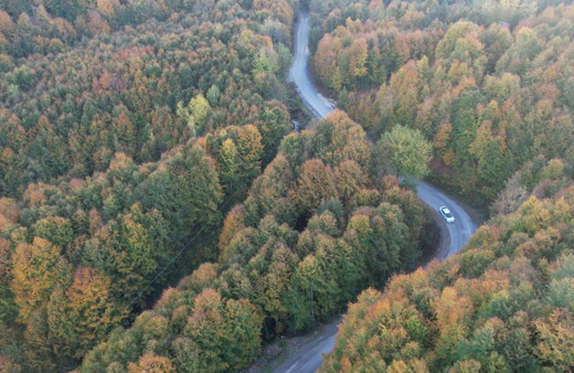 Zonguldak'ta ormanlık alanlara girişler o tarihe kadar yasaklandı