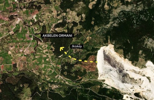 Akbelen Ormanı nerede, Akbelen Ormanı nereye, hangi ile bağlı? Akbelen'de ağaçlar neden kesiliyor?