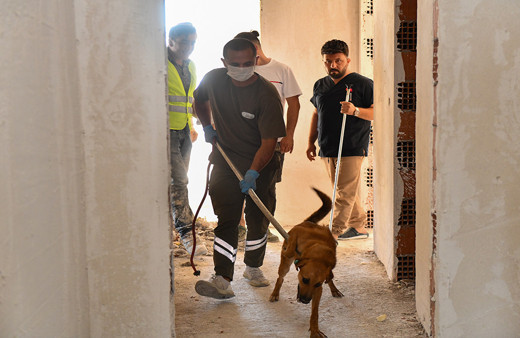 İnşaatta mahsur kalan köpeğin imdadına belediye ekipleri yetişti.