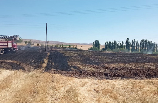 Sivas'ta tarla yangınında 25 dönüm ekili alan zarar gördü!