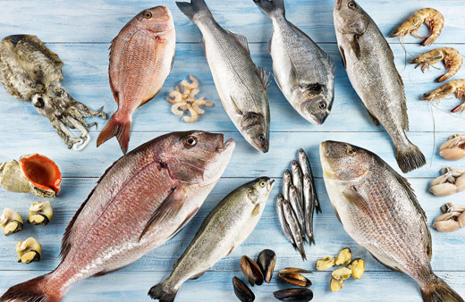 Su ürünleri ihracatı, yılın ilk yarısında 829 milyon dolara ulaştı!