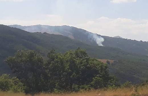 Dünyanın kırmızı listesinde! O hayvana Tunceli ev sahipliği yapıyor