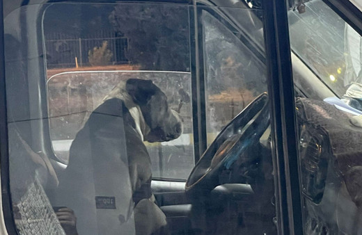 Kamyon şoförü dehşete düştü aracına binemedi geceyi dışarıda geçirdi