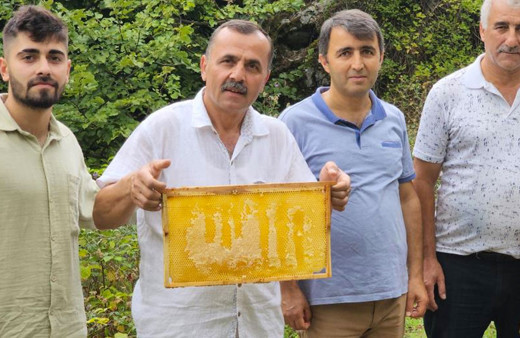 Bal peteğini eve getirdi eşi farketti petek üzerinde Allah yazısı dikkat çekti