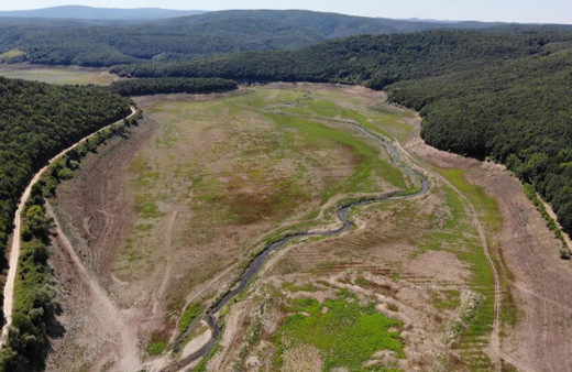 İstanbul'u besleyen iki baraj kurudu! Artık hayvanlar otluyor!