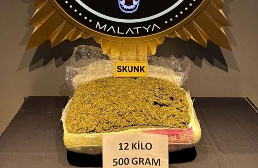 Yolcu otobüsünde 12,5 kilo skunk ele geçirildi