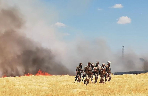 Mardin'de ve Şanlıurfa'da elektrik ekiplerine çirkin saldırı! Görevlilerin bulunduğu tarlayı ateşe verdiler