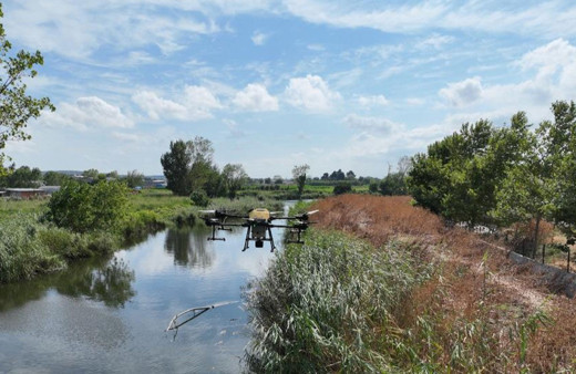 Bursa'da sazlıklar drone ile ilaçlanıyor