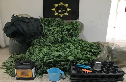 Kırıkkale'de büyük uyuşturucu operasyonu! 20 kişi gözaltına alındı