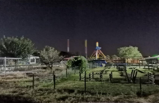 Eğlenmeye gittikleri lunapark faciaya dönüştü! Ağaçlarla çarpışan salıncak 6 kişi yaraladı