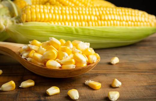 Adana'da mısırda rekolte beklentisi 1 milyon 200 bin ton!