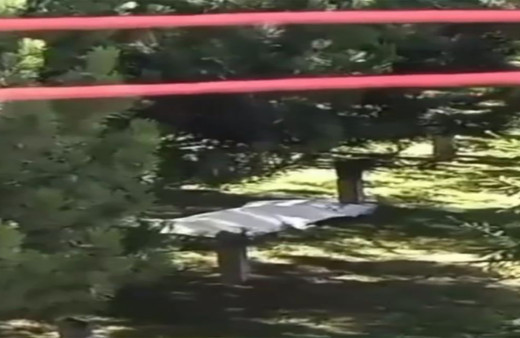 13 yaşındaki çocuk parkta ölü bulundu! "Ağzında karıncalar dolanıyordu"