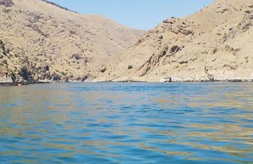 Alabalık tesisinde çalışan kadın mühendis, tekneden suya düşüp kayboldu!