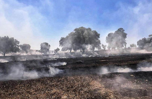 Kütahya'da tarla yangını: 7 dekar alan zarar gördü!