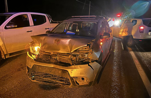 Otomobil koyun sürüsüne çarptı! 2 kişi yaralandı 25 hayvan telef oldu