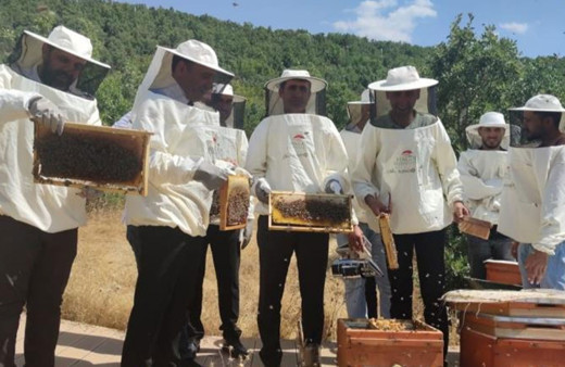 9 dalda ödül alan dünya birincisi Bingöl balında hasat başladı!