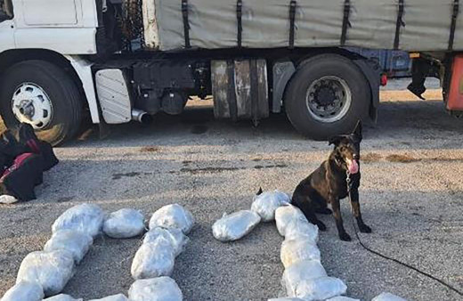 Durdurulan tırda narkotik köpeklerinin yardımıyla 8,5 kilogram uyuşturucu ele geçirildi