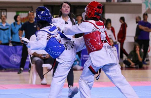 Taekwondo Anadolu Yıldızlar Ligi Yarı Finalleri, Mardin'de başladı
