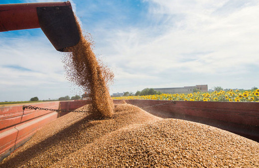 ABD Dışişleri Bakanlığı Türkiye'nin tahıl için Rusya'ya baskı yapmasından memnun