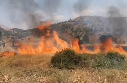 Adana'da 8 dönüm buğday hasat edilemeden yandı!