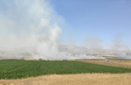 Burdur’da çıkan yangında 100 dönümlük tarım arazisi kül oldu!
