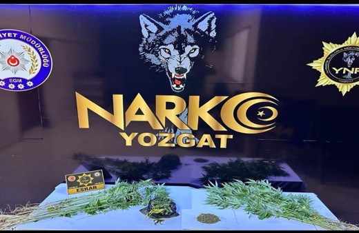 Yozgat'ta uyuşturucu operasyonu! 48 kök kenevir ele geçirildi