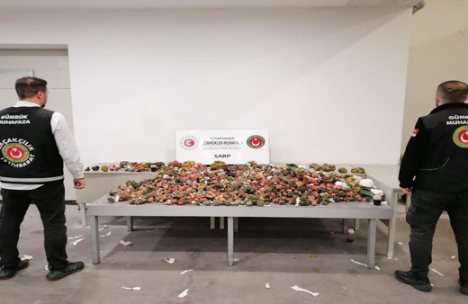 Yoğunluk süphe uyandırdı! Sarp Sınır Kapısı’nda 2 bin 850 adet kaçak kaktüs ele geçirildi