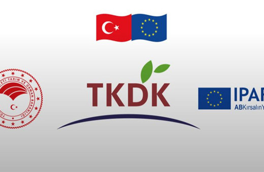 Muş'ta 141 kadın 184 milyon lira hibe desteğinden yararlanarak iş kurdu!