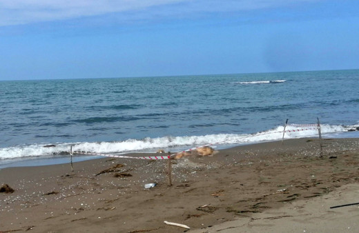 Samsun’da sahilde bir erkeğe ait ceset bulundu!
