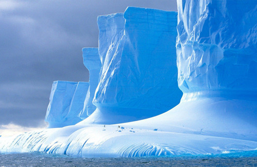 Antarktika yakınlarında 'uzaylıya benzeyen' bir yaratık keşfedildi