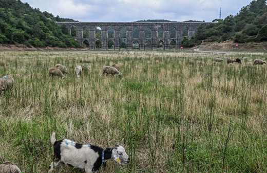 İstanbul barajlarında tehlike çanları! Su tasarrufu için flaş öneri: Kademeli ücretlendirme...