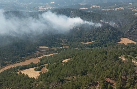 Bolu'da yürekleri ağza getiren yangın! Rüzgarın etkisiyle arttı
