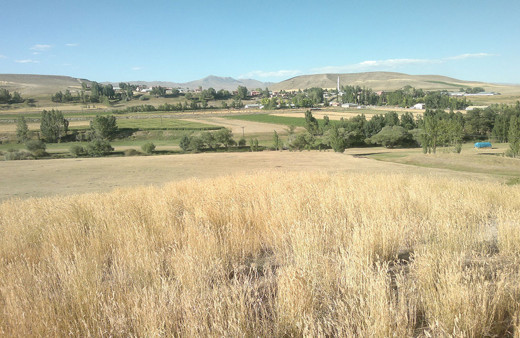 Erzurum'da 3 yaşındaki çocuğun cesedi sulama kanalında bulundu!