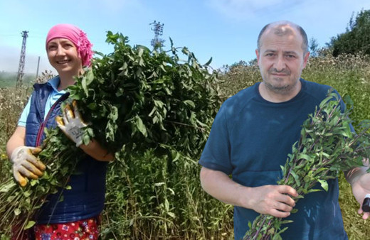 Ordulu kuzenler Alman firmalarına rakip oldu: Bu yağın litresi 35 bin TL!