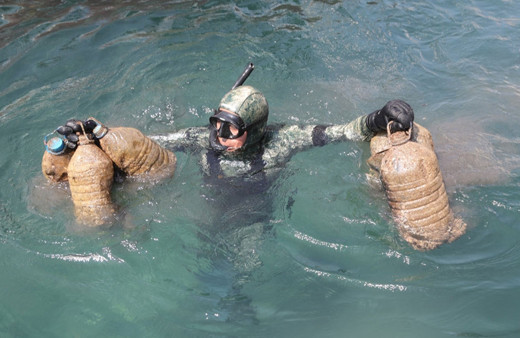 Bodrum'da deniz dibi temizliği: 1417 kilogram atık çıkarıldı!