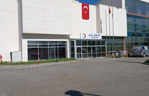 Diyarbakır'da akrep dehşeti! Akrebin soktuğu bebek yoğun bakıma alındı