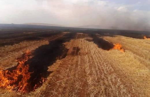 Kütahya'da çıkan yangında 500 dekar ekili alan zarar gördü!