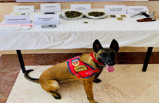 Bodrum'da uyuşturucu tacirleri jandarma ekiplerinden kaçamadı!